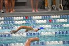 Swimming & Diving vs Babson  Swimming & Diving vs Babson College. - Photo by Keith Nordstrom : Wheaton, Swimming